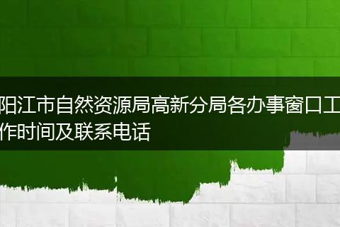 陽江市自然資源局高新分局各辦事窗口工作時(shí)間及聯(lián)系電話