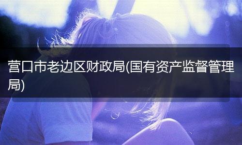 營口市老邊區(qū)財(cái)政局(國有資產(chǎn)監(jiān)督管理局)