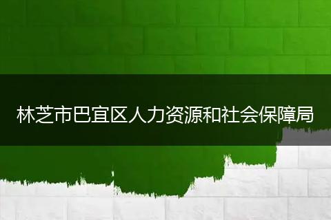 林芝市巴宜區(qū)人力資源和社會(huì)保障局