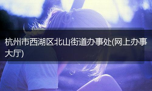 杭州市西湖區(qū)北山街道辦事處(網(wǎng)上辦事大廳)