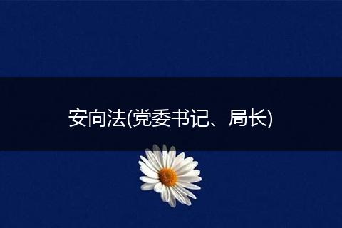 安向法(黨委書記、局長)