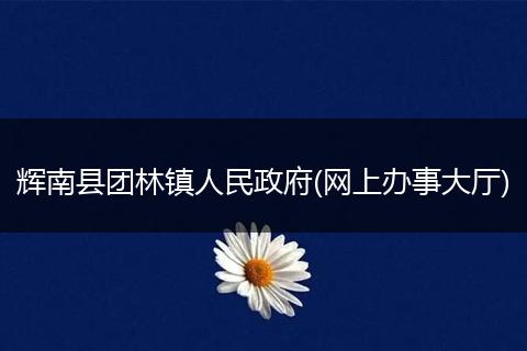 輝南縣團(tuán)林鎮(zhèn)人民政府(網(wǎng)上辦事大廳)