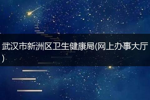 武漢市新洲區(qū)衛(wèi)生健康局(網(wǎng)上辦事大廳)