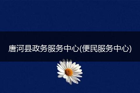 唐河縣政務(wù)服務(wù)中心(便民服務(wù)中心)