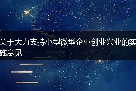 關(guān)于大力支持小型微型企業(yè)創(chuàng)業(yè)興業(yè)的實施意見