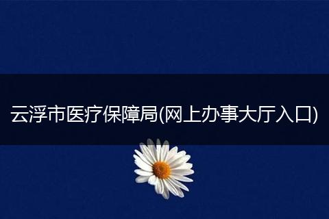 云浮市醫(yī)療保障局(網(wǎng)上辦事大廳入口)
