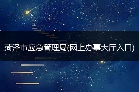 菏澤市應(yīng)急管理局(網(wǎng)上辦事大廳入口)