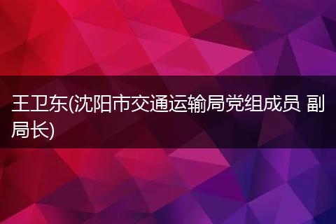 王衛(wèi)東(沈陽市交通運輸局黨組成員 副局長)
