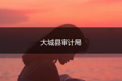 大城縣審計(jì)局