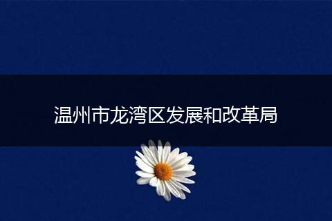 溫州市龍灣區(qū)發(fā)展和改革局