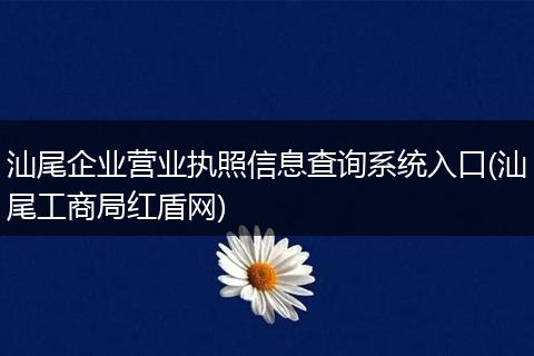 汕尾企業(yè)營業(yè)執(zhí)照信息查詢系統(tǒng)入口(汕尾工商局紅盾網(wǎng))