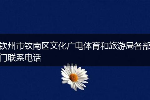 欽州市欽南區(qū)文化廣電體育和旅游局各部門聯(lián)系電話