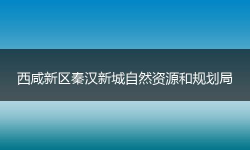 西咸新區(qū)秦漢新城自然資源和規(guī)劃局
