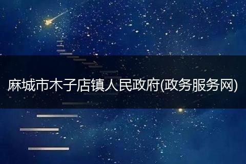 麻城市木子店鎮(zhèn)人民政府(政務(wù)服務(wù)網(wǎng))