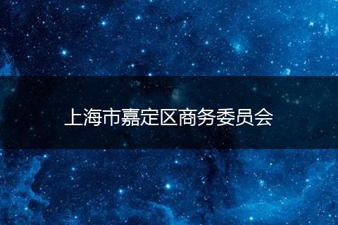 上海市嘉定區(qū)商務(wù)委員會