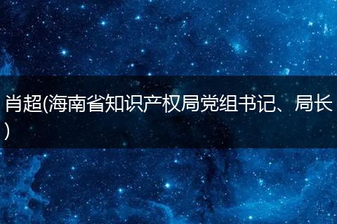 肖超(海南省知識產(chǎn)權(quán)局黨組書記、局長)