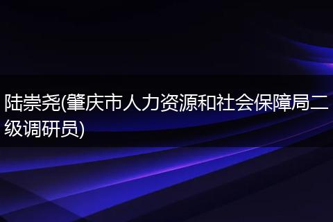 陸崇堯(肇慶市人力資源和社會保障局二級調(diào)研員)