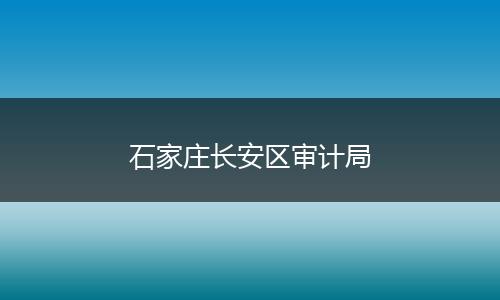 石家莊長(zhǎng)安區(qū)審計(jì)局