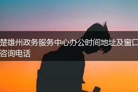 楚雄州政務(wù)服務(wù)中心辦公時間地址及窗口咨詢電話