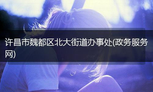 許昌市魏都區(qū)北大街道辦事處(政務(wù)服務(wù)網(wǎng))