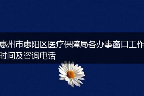 惠州市惠陽區(qū)醫(yī)療保障局各辦事窗口工作時間及咨詢電話