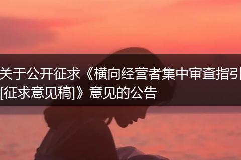 關于公開征求《橫向經營者集中審查指引[征求意見稿]》意見的公告