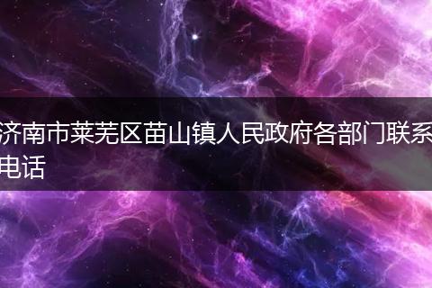 濟南市萊蕪區(qū)苗山鎮(zhèn)人民政府各部門聯(lián)系電話