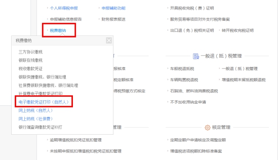 湖南省電子稅務(wù)局電子繳款憑證打印（自然人）操作流程說(shuō)明