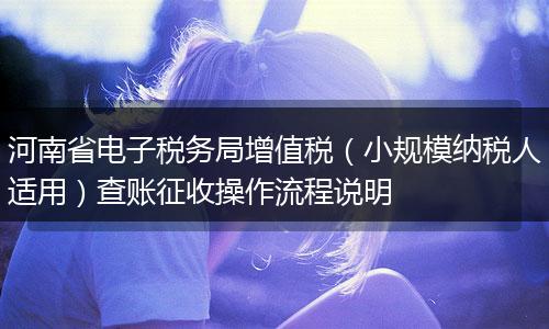 河南省電子稅務(wù)局增值稅（小規(guī)模納稅人適用）查賬征收操作流程說(shuō)明