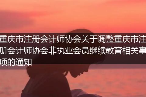 重慶市注冊(cè)會(huì)計(jì)師協(xié)會(huì)關(guān)于調(diào)整重慶市注冊(cè)會(huì)計(jì)師協(xié)會(huì)非執(zhí)業(yè)會(huì)員繼續(xù)教育相關(guān)事項(xiàng)的通知