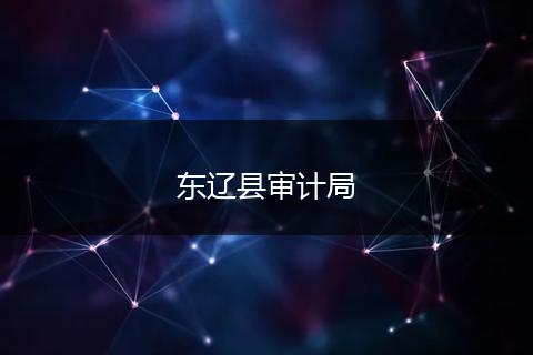 東遼縣審計(jì)局