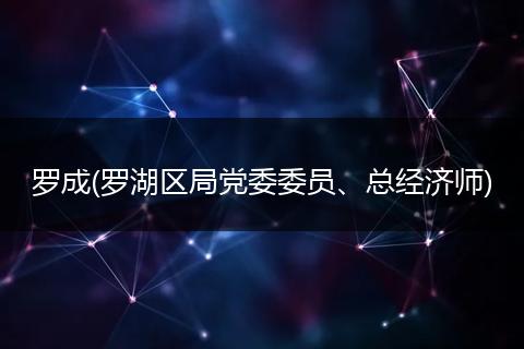 羅成(羅湖區(qū)局黨委委員、總經(jīng)濟師)