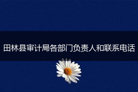 田林縣審計(jì)局各部門負(fù)責(zé)人和聯(lián)系電話