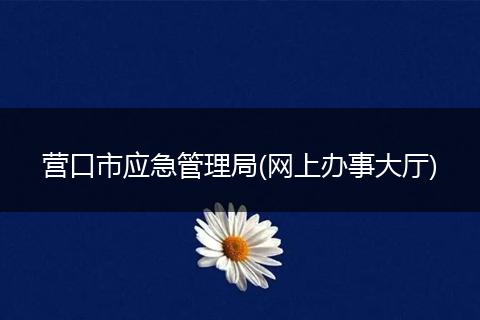 營(yíng)口市應(yīng)急管理局(網(wǎng)上辦事大廳)