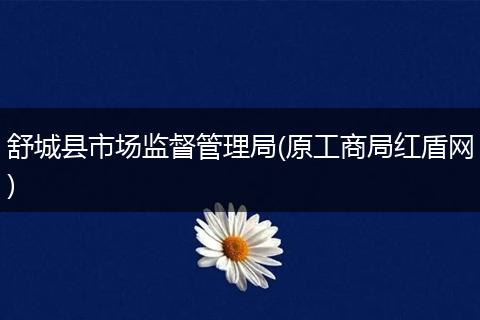 舒城縣市場監(jiān)督管理局(原工商局紅盾網(wǎng))