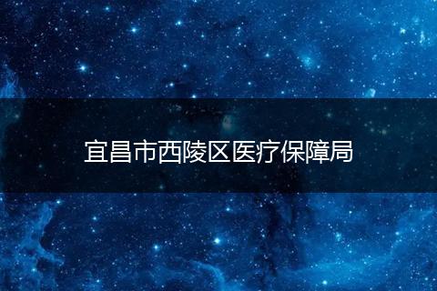 宜昌市西陵區(qū)醫(yī)療保障局