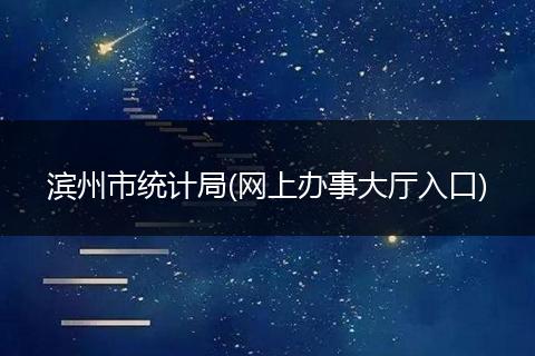 濱州市統(tǒng)計(jì)局(網(wǎng)上辦事大廳入口)