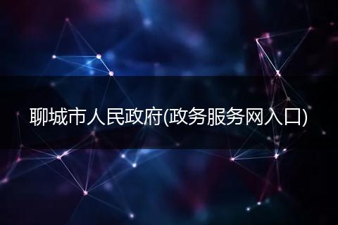 聊城市人民政府(政務(wù)服務(wù)網(wǎng)入口)