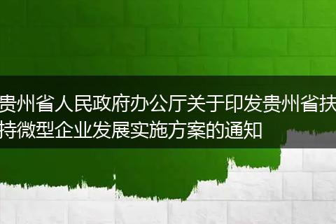 貴州省人民政府辦公廳關于印發(fā)貴州省扶持微型企業(yè)發(fā)展實施方案的通知