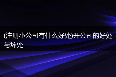 (注冊小公司有什么好處)開公司的好處與壞處