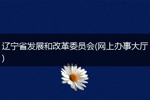 遼寧省發(fā)展和改革委員會(網(wǎng)上辦事大廳)