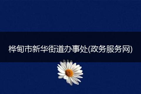樺甸市新華街道辦事處(政務(wù)服務(wù)網(wǎng))