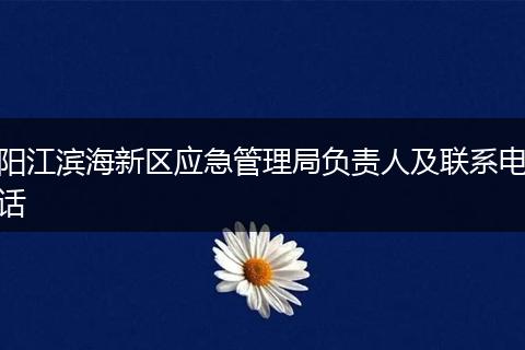 陽江濱海新區(qū)應(yīng)急管理局負(fù)責(zé)人及聯(lián)系電話