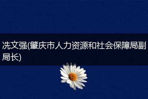 冼文強(qiáng)(肇慶市人力資源和社會(huì)保障局副局長(zhǎng))