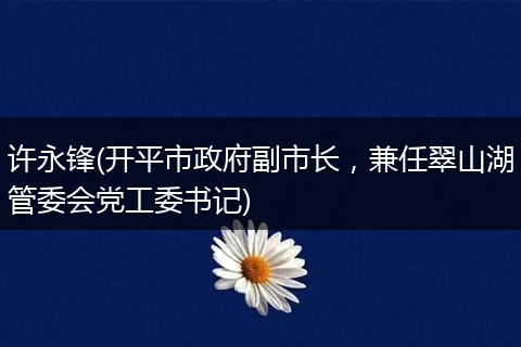 許永鋒(開平市政府副市長(zhǎng)，兼任翠山湖管委會(huì)黨工委書記)