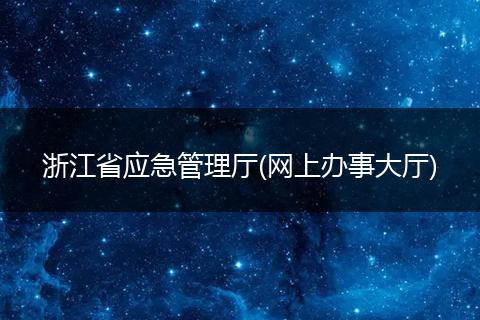 浙江省應(yīng)急管理廳(網(wǎng)上辦事大廳)