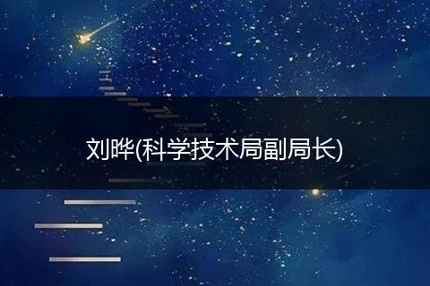 劉曄(科學(xué)技術(shù)局副局長)