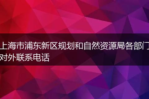 上海市浦東新區(qū)規(guī)劃和自然資源局各部門對外聯(lián)系電話