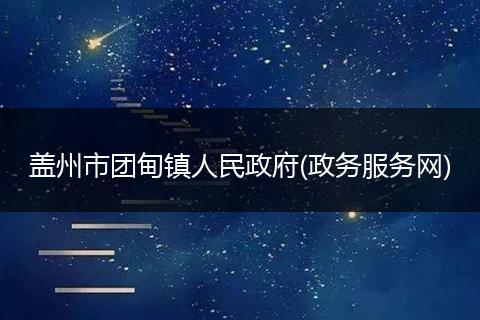 蓋州市團甸鎮(zhèn)人民政府(政務服務網(wǎng))