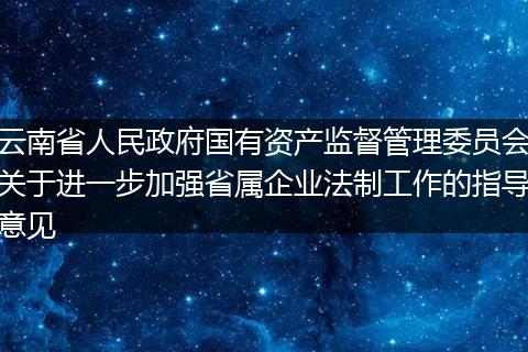 云南省人民政府國有資產(chǎn)監(jiān)督管理委員會(huì)關(guān)于進(jìn)一步加強(qiáng)省屬企業(yè)法制工作的指導(dǎo)意見